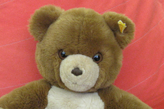 Teddybär 003.jpg